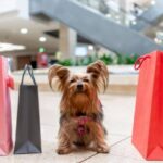 Are Dogs Allowed in Old Navy? Complete Guide