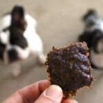 Can Dogs Eat Beef Jerky Ultimate Guide to Feeding Beef Jerky to Your Dog