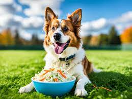 Can Dogs Eat Coleslaw The Truth About This Popular Salad