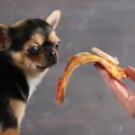 Can Dogs Eat Vienna Sausage A Veterinarian's Guide