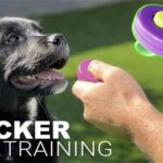 Clicker Training