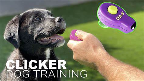 Clicker Training