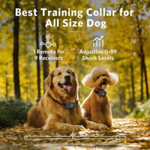 Dog Care Dog Training Collar