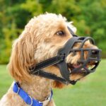 Dog Muzzles for Biting