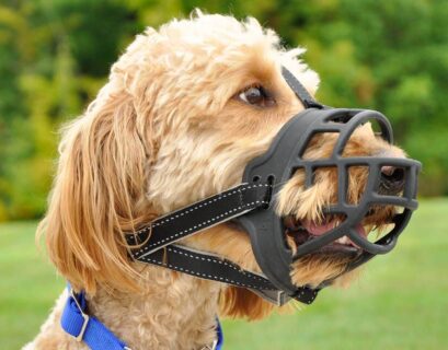 Dog Muzzles for Biting