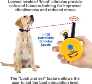 Educator E-Collar Remote Dog Training Collar