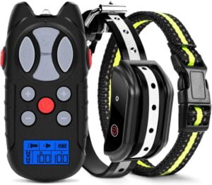 Flittor Dog Training Collar