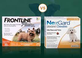 Frontline vs Nexgard Which One Is Better for Dogs