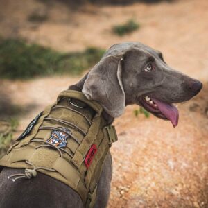 OneTigris Blaze Tracker Dog Vest