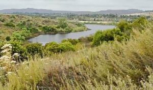 Peters Canyon Trail